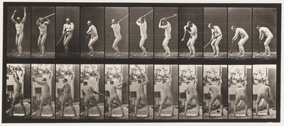 Talíř 308. Házení kladivem, 1885 od Eadweard Muybridge