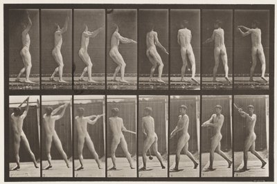 Talíř 309. Házení kladivem od Eadweard Muybridge
