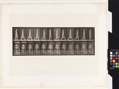 Talíř 30. Chůze, nošení vědra s vodou v každé ruce od Eadweard Muybridge