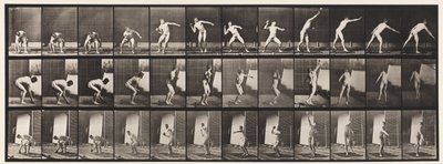 Talíř 310. Putting the Shot, 1885 od Eadweard Muybridge