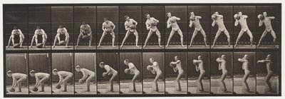 Talíř 318. Lifting a 75-lb Rock, 1872-1885 od Eadweard Muybridge