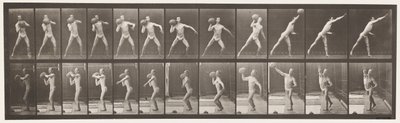 Talíř 319. Zvedání 75 lb skály od Eadweard Muybridge
