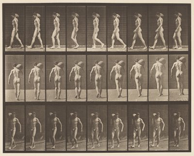 Talíř 31. Chůze, nošení 75-lb kamene na pravém rameni od Eadweard Muybridge