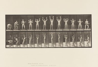 Talíř 322. Muž zvedání činek od Eadweard Muybridge