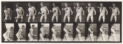 Talíř 324. Curling 50-lb. Dumb-Bell, Model, 3/4 délka od Eadweard Muybridge