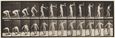 Talíř 326. Zvedání 50-lb. Dumb-Bell na délku paže od Eadweard Muybridge