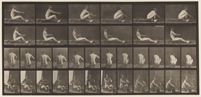 Talíř 328. Veslování od Eadweard Muybridge