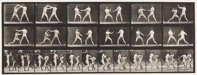 Talíř 329. Boxování; (Obuv) od Eadweard Muybridge