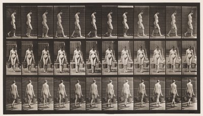 Talíř 32. Chůze, nošení vědra s vodou v každé ruce od Eadweard Muybridge