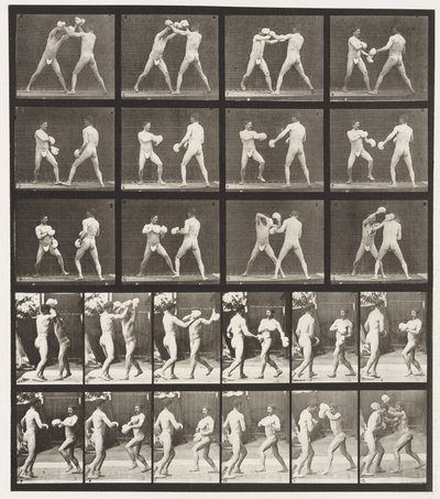 Talíř 334. Boxování; S rukavicemi (boty) od Eadweard Muybridge