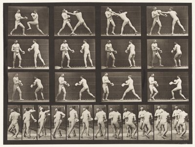 Talíř 335. Boxování; S Rukavicemi od Eadweard Muybridge