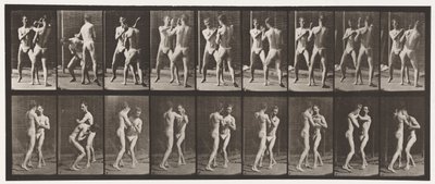 Talíř 337. Boxování; Otevřená ruka od Eadweard Muybridge