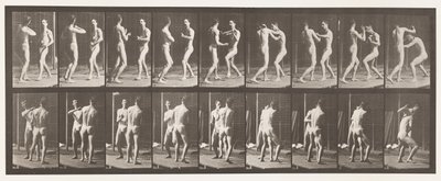 Talíř 339. Boxování; Otevřená ruka od Eadweard Muybridge
