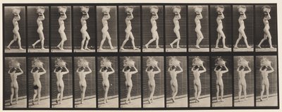 Talíř 33. Chůze, 14-lb. Koš na hlavě, ruce zdvižené, 1872-1885 od Eadweard Muybridge