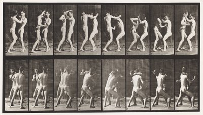 Talíř 341. Boxování; Otevřená ruka od Eadweard Muybridge