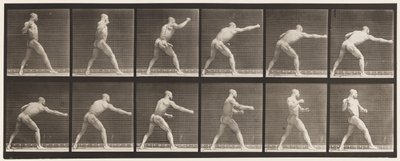 Talíř 344. Úder (pravá ruka) od Eadweard Muybridge