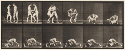 Talíř 345.Zápas, Zámek, 1885 od Eadweard Muybridge