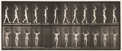 Talíř 34. Chůze od Eadweard Muybridge