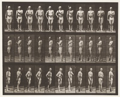 Talíř 354. Přenášecí ramena, opěrka a ramena od Eadweard Muybridge