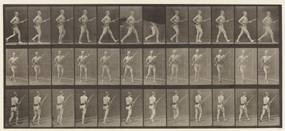 Talíř 359. Nabíjecí bajonet, 1872-1885 od Eadweard Muybridge