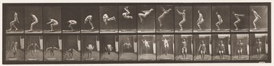 Talíř 362. Salto zpět od Eadweard Muybridge