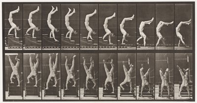 Talíř 368. Akrobat, Sestupné schody na rukou od Eadweard Muybridge