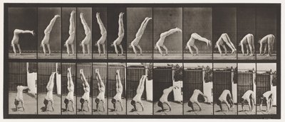 Talíř 371. Acrobat, Vertical Press Up od Eadweard Muybridge
