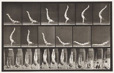 Talíř 372. Acrobat, horizontální lis nahoru od Eadweard Muybridge