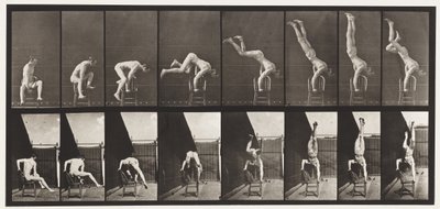 Talíř 373. Acrobat, stiskněte nahoru ze židle od Eadweard Muybridge