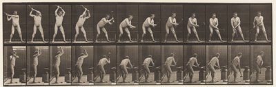 Talíř 376. Kovář, Utloukání na kovadlinu, Dvě ruce, 1872-1885 od Eadweard Muybridge