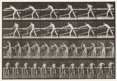 Talíř 379. Tesař, Hoblování desky, 1872-1885 od Eadweard Muybridge