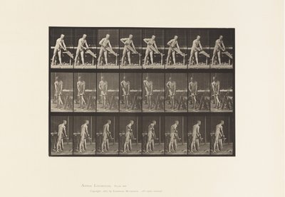 Talíř 380. Tesař, Pilař, 1872-1885 od Eadweard Muybridge