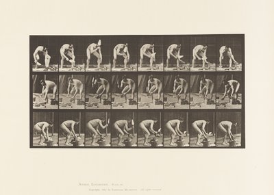 Talíř 381. Zedník, Kladení cihel od Eadweard Muybridge