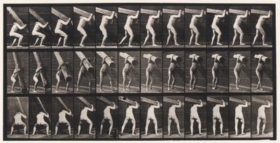 Talíř 383. Zvedání kmene na rameni od Eadweard Muybridge
