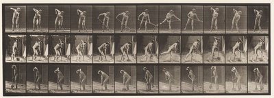 Talíř 387. Farmář, pomocí lopaty s dlouhou násadou od Eadweard Muybridge
