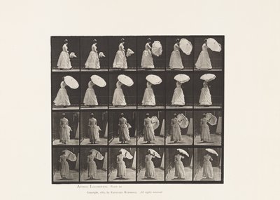 Talíř 38. Chůze, otevírací slunečník, 1885 od Eadweard Muybridge