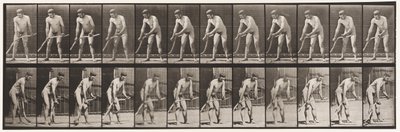 Talíř 391. Sedlák, Sečení trávy od Eadweard Muybridge