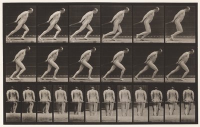 Talíř 392. Tažení zahradního válečku, 1872-1885 od Eadweard Muybridge