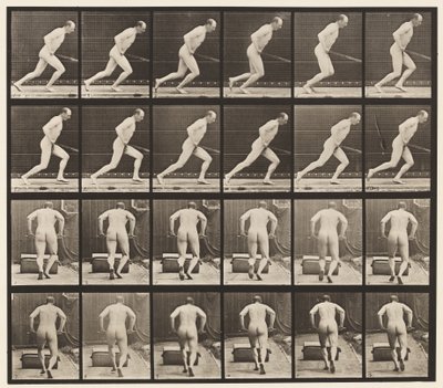 Talíř 393. Tlačení zahradního válečku, 1872-1885 od Eadweard Muybridge