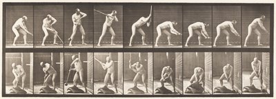 Talíř 396. Bušení paličkou od Eadweard Muybridge