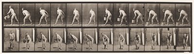 Talíř 398. Vyprázdnění vědra s vodou, 1872-1885 od Eadweard Muybridge