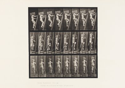 Talíř 405. Ruka nesoucí cihly po žebříku, 1872-1885 od Eadweard Muybridge