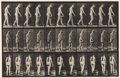 Talíř 42. Chůze, nalévání vody z džbánu od Eadweard Muybridge