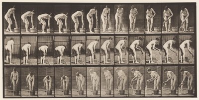 Talíř 433. Ždímací prádlo od Eadweard Muybridge