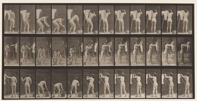 Talíř 434. Věšení šatů na lince, 1872-1885 od Eadweard Muybridge