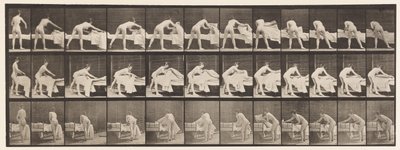 Talíř 436. Uspořádání lůžka od Eadweard Muybridge