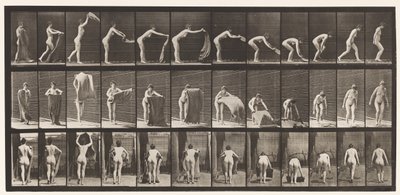 Talíř 439. Rozložení koberce na podlahu, 1872-1885 od Eadweard Muybridge