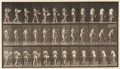 Talíř 441. Nosit vázu a pokládat ji na stůl, 1872-1885 od Eadweard Muybridge