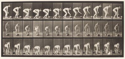 Talíř 442. Shýbání se a válení kamene na zemi od Eadweard Muybridge