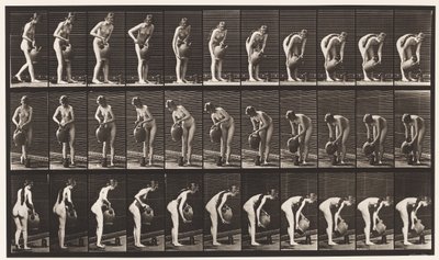 Talíř 446. Plnicí džbán na zemi z nádoby na vodu od Eadweard Muybridge